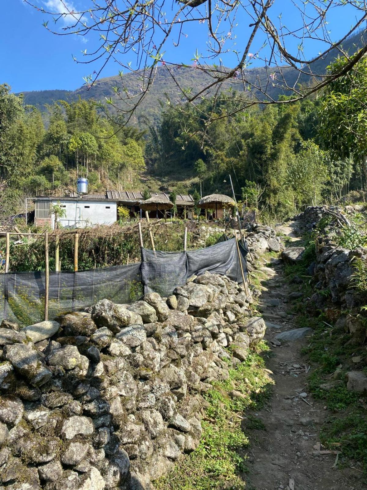 Sue Pa Family Trekking Homestay سابا المظهر الخارجي الصورة
