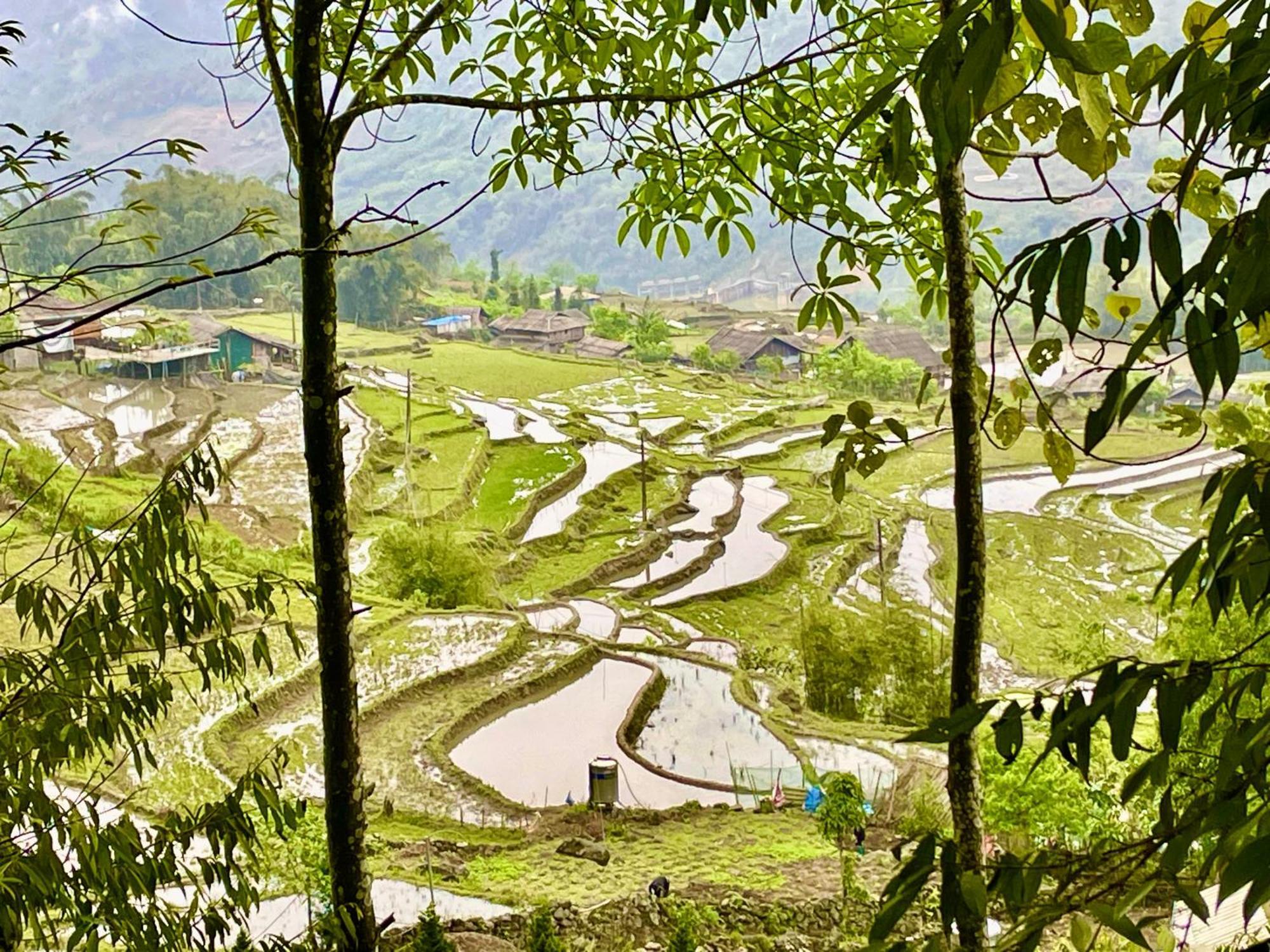 Sue Pa Family Trekking Homestay سابا المظهر الخارجي الصورة
