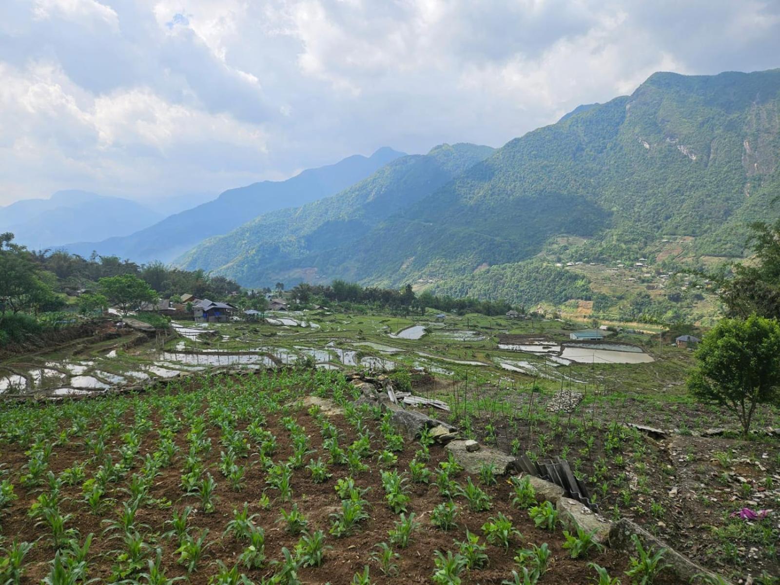 Sue Pa Family Trekking Homestay سابا المظهر الخارجي الصورة